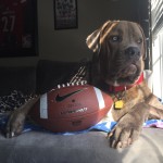 He loves his football!